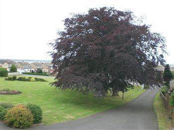 Surrone Gretna Green